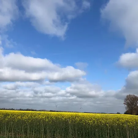 Tief 10 Wattn Watt-blick 604 דירה שיליג