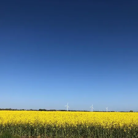 Tief 10 Wattn Watt-blick 604 דירה שיליג