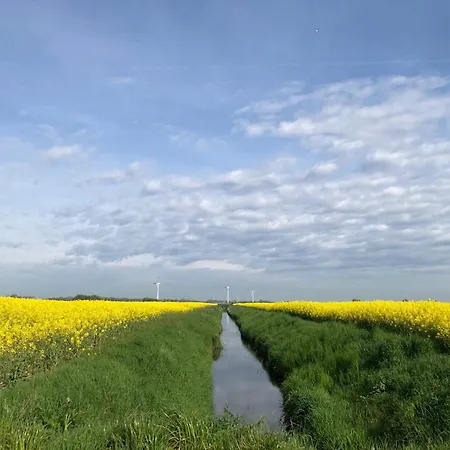 Tief 10 Wattn Watt-blick 604 שיליג