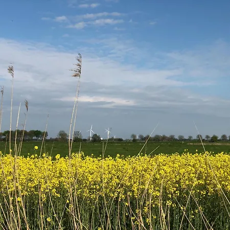 Tief 10 Wattn Watt-blick 604 * Schillig