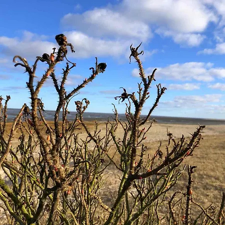 Tief 10 Wattn Watt-blick 604 *