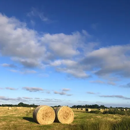 Tief 10 Wattn Watt-blick 604 * Schillig