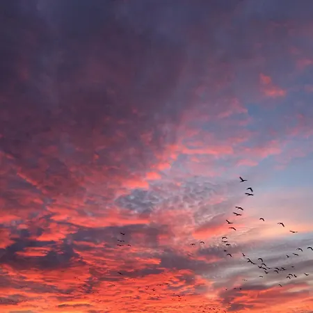 Appartement Tief 10 Wattn Watt-blick 604 Schillig