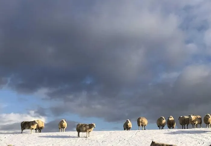 Tief 10 Wattn Watt-blick 604 Apartamento