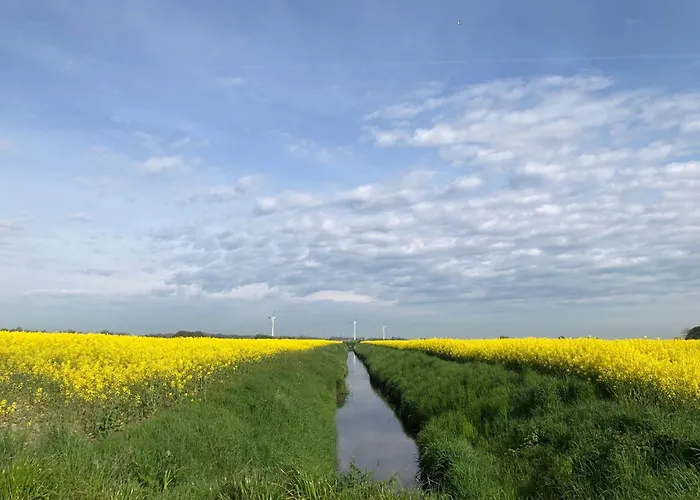 Tief 10 Wattn Watt-blick 604 Schillig