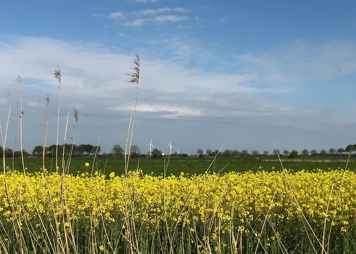 Tief 10 Wattn Watt-blick 604 * Schillig