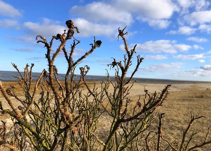 Tief 10 Wattn Watt-blick 604 *