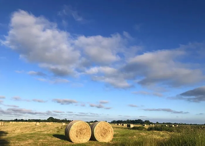 Tief 10 Wattn Watt-blick 604 * Schillig