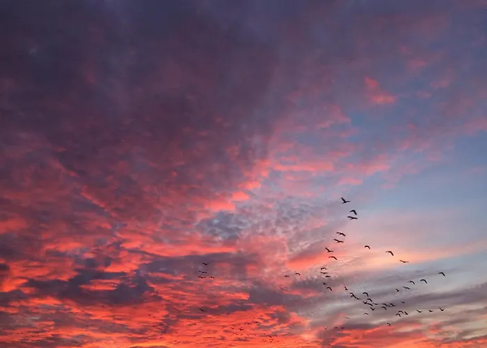 Apartamento Tief 10 Wattn Watt-blick 604 Schillig