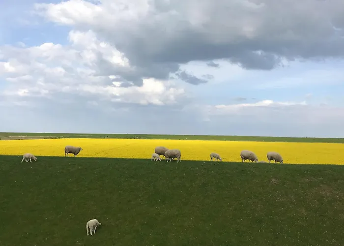 Tief 10 Wattn Watt-blick 604 * Schillig